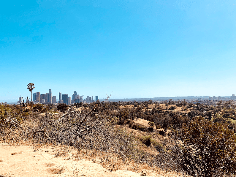 must do in Los Angeles